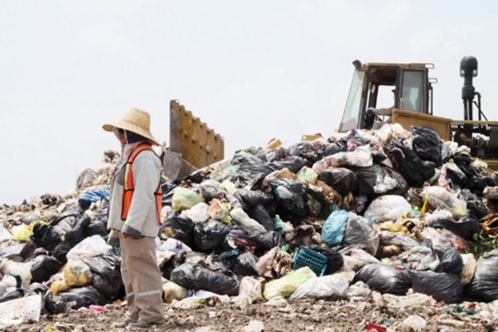 UAQ desarrolla control de plagas