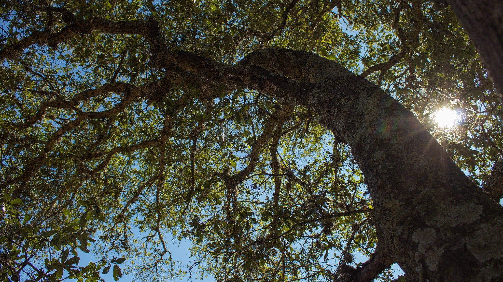 Foto: Parque Natural La Beata