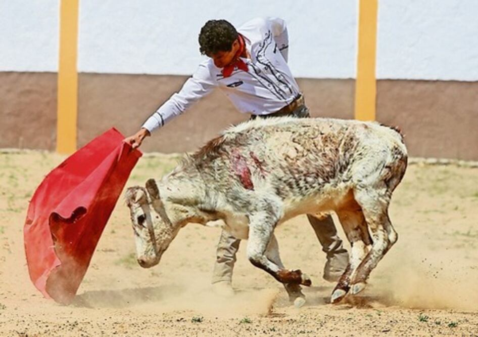 Brandon Campos regresa a su tierra