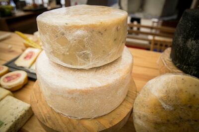 Subsiste con ventas de quesos