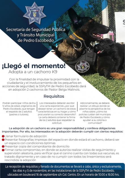 Adopta un K9: la policía de Pedro Escobedo busca hogar para dos cachorros 