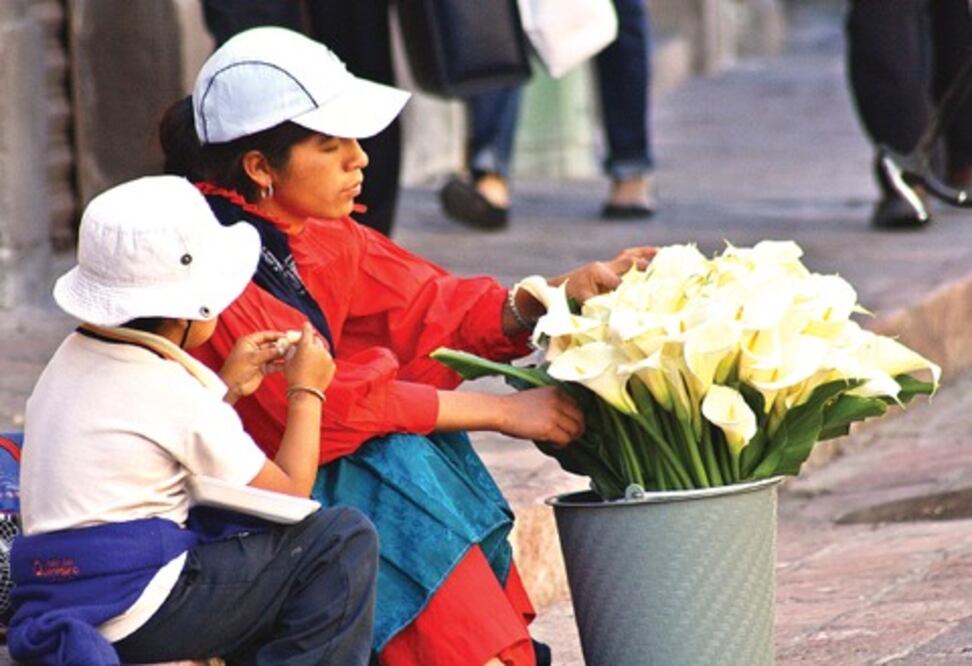 SJR lanza plan contra violencia de género