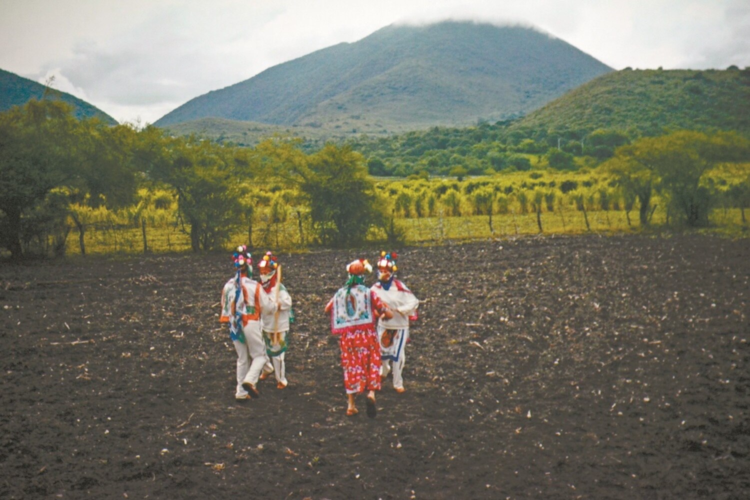 “Querétaro, Tierra Viva”, el documental mexicano logra nominaciones internacionales