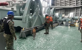 Binomio canino detecta ladrillos de cocaína en Michoacán