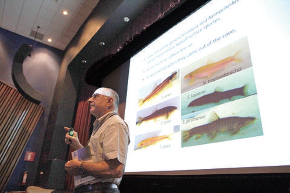 Estudian a pez que podría aportar beneficios a la salud