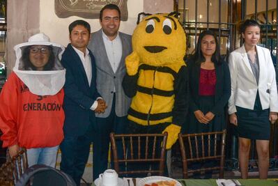 Disminuye en 5 años 60% de la producción de miel queretana 