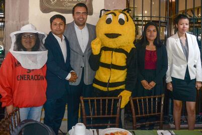 Disminuye en 5 años 60% de la producción de miel queretana