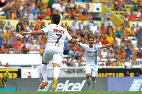 Doma Gallos a los Leones