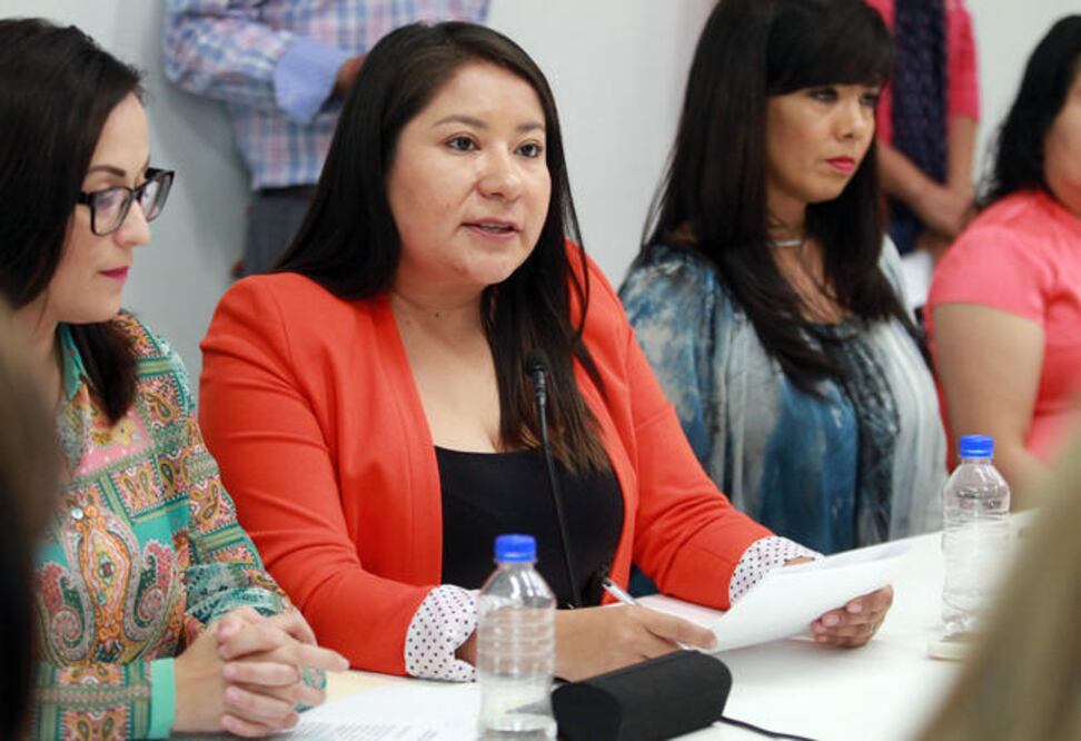 Daesy Alvorada, presidenta de la Comisión de Participación Ciudadana, aseguró que de aprobarse el recurso puede destinarse a investigaciones, elaboración y publicación de libros, mesas de trabajo, conferencias, talleres y publicidad. (ARCHIVO EL UNIVERSA)