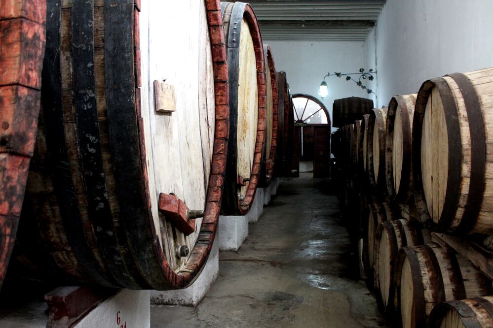 Foto: Francisco Rodríguez