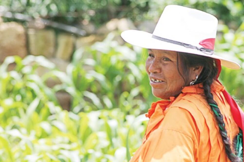 Asesoran a ediles con regiones indígenas