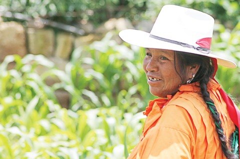 Asesoran a ediles con regiones indígenas