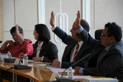 Aprueban reglamento de Piso Firme 2014 