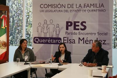 Iniciativa de Elsa Méndez, incongruente: Hernández