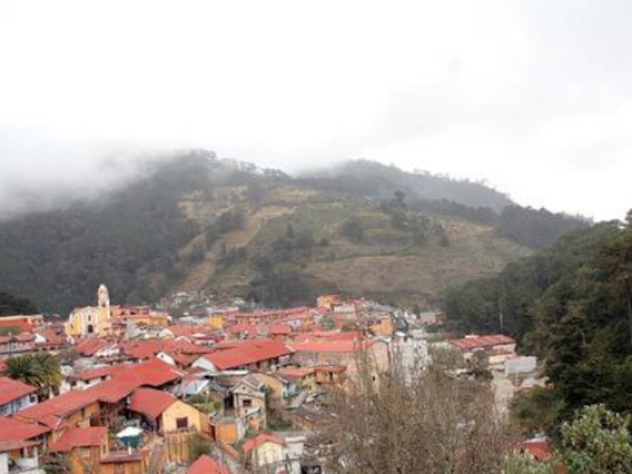 Afectaciones por lluvias y plagas