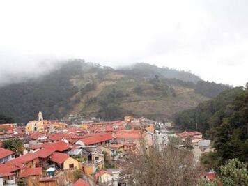 Afectaciones por lluvias y plagas