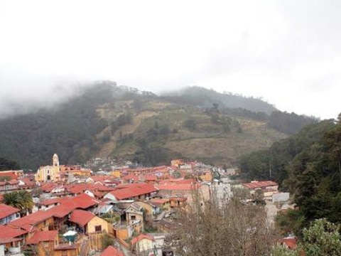 Afectaciones por lluvias y plagas