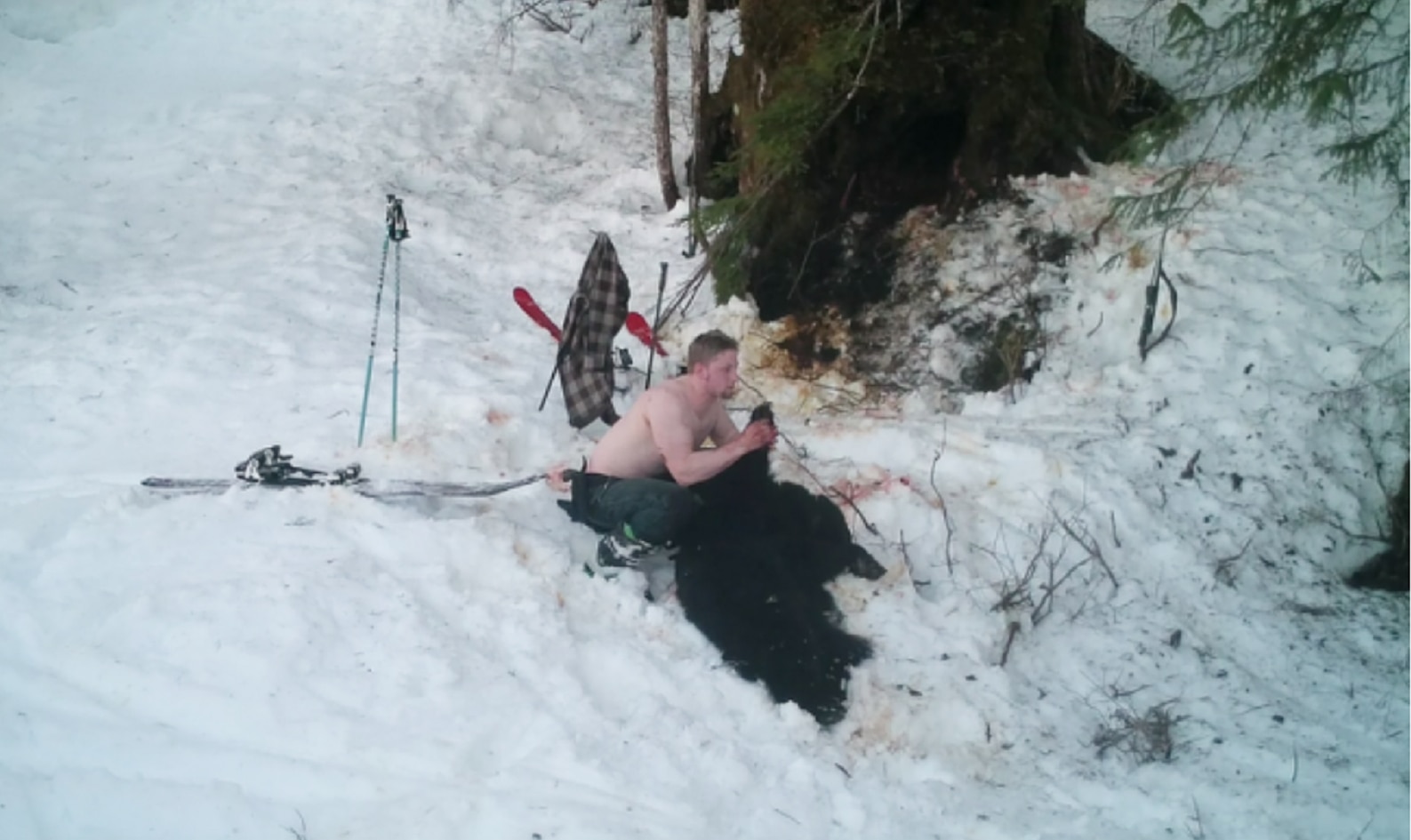 Foto: Captura de pantalla