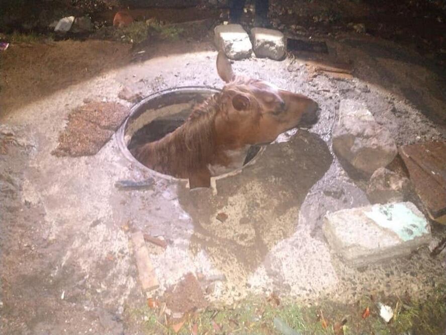 Foto: Facebook Roberto Sosa