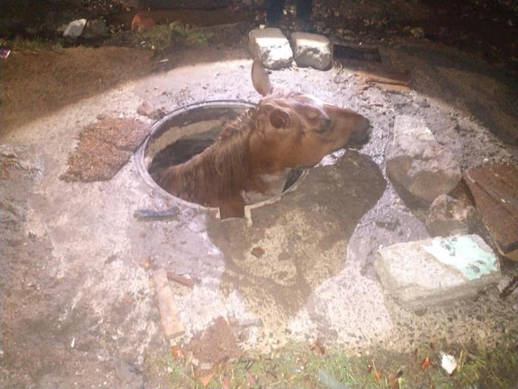 Foto: Facebook Roberto Sosa