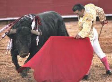 Gélida corrida de aniversario