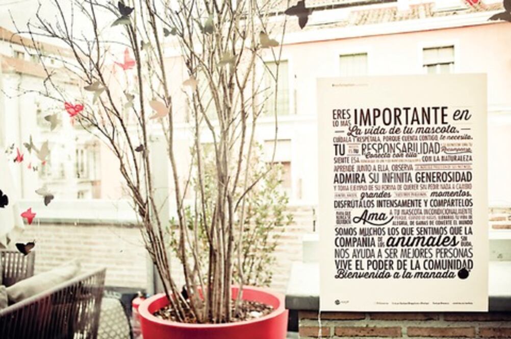 Comunidad virtual para mascotas