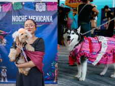 Celebra El Marqués Noche Mexicana muy perruna