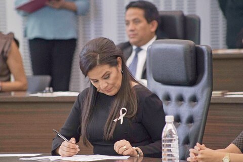 Derechos Humanos busca otorgar medalla