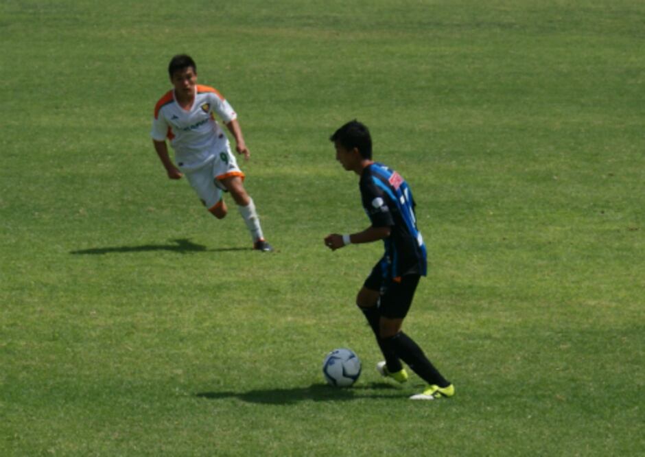 Fuerzas básicas de Gallos, un desastre