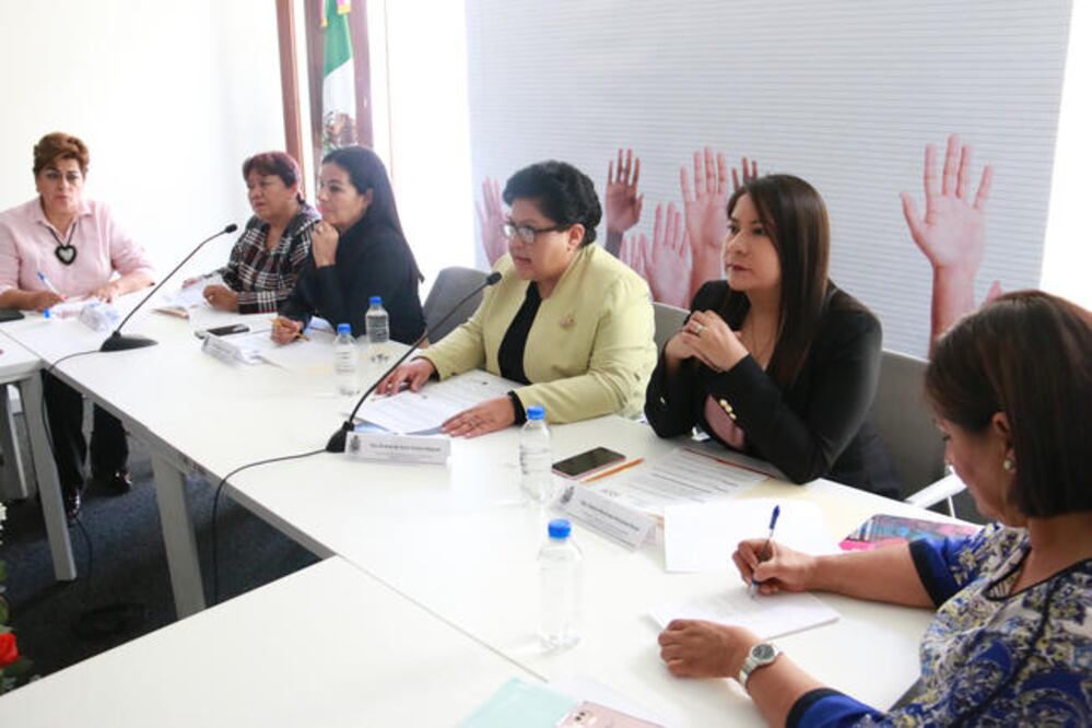 La titular de la institución, Roxana de Jesús Ávalos Vázquez, especificó que 88 quejas se emitieron en la capital, 23 en SJR y 12 en Jalpan de Serra (ESPECIAL)