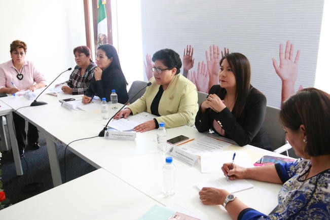 La titular de la institución, Roxana de Jesús Ávalos Vázquez, especificó que 88 quejas se emitieron en la capital, 23 en SJR y 12 en Jalpan de Serra (ESPECIAL)