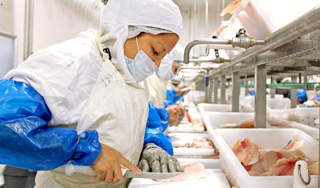 Estado tiene 14 permisos para la pesca comercial