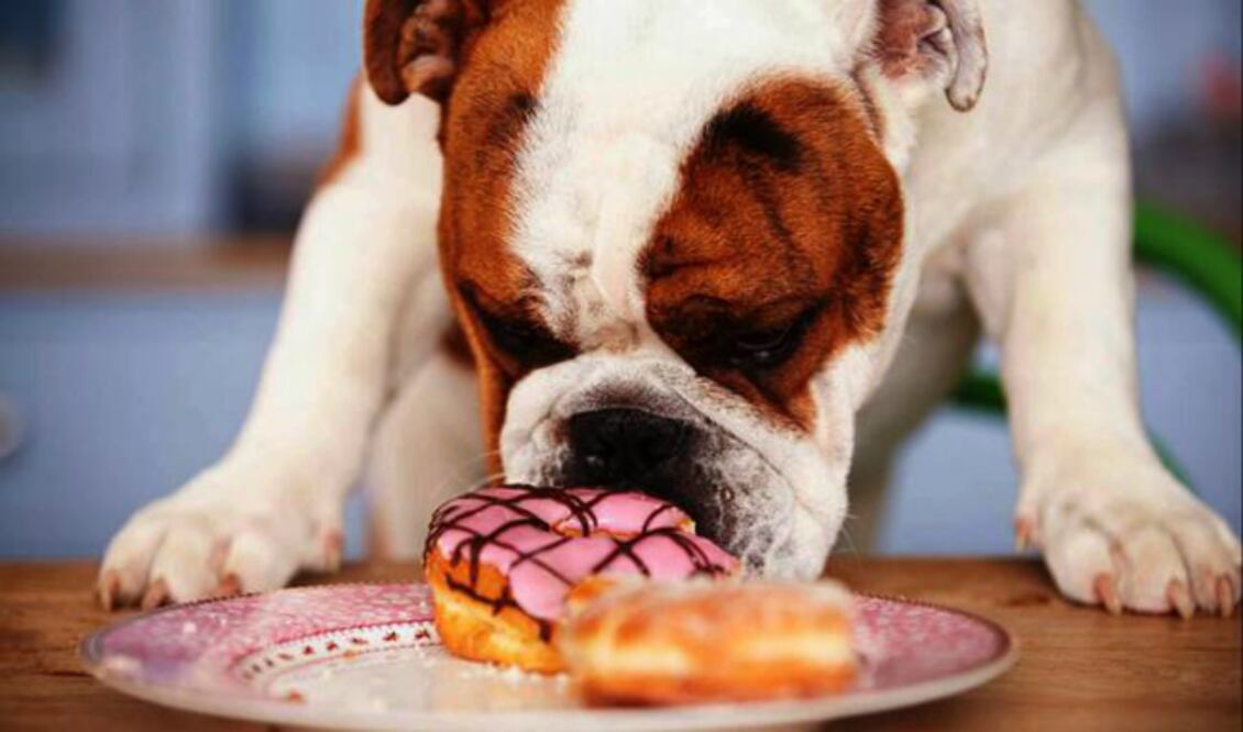 FOTO: Archivo El Universal