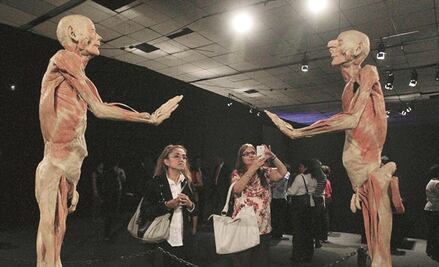 Un vistazo al cuerpo humano