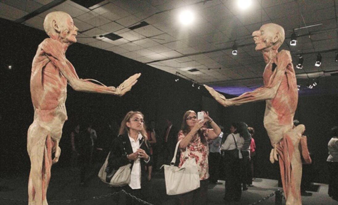 Un vistazo al cuerpo humano