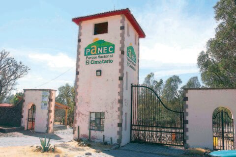 Cierra Panec por poca afluencia en época navideña