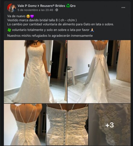 Video. Cambia vestido de novia por alimento para gato en Querétaro