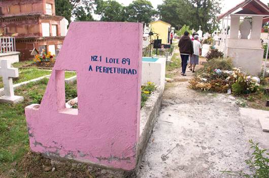 Sinhambre rastrea a hijos huérfanos