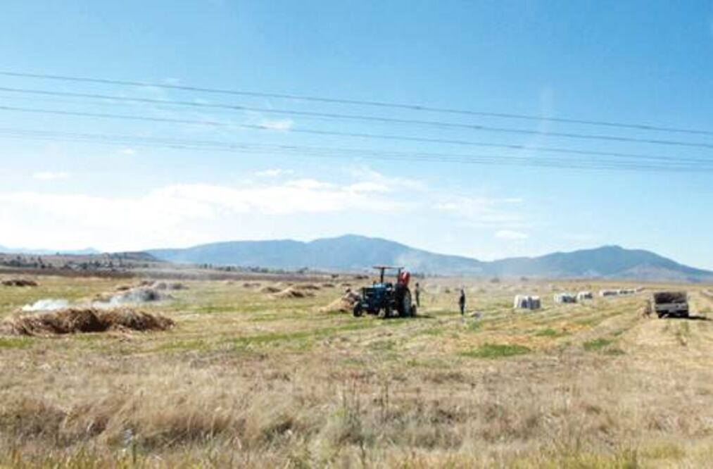 Urgen a aumentar producción agraria