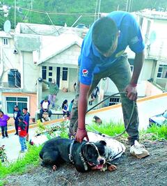 Niño de 3 años muere tras ser atacado por un pitbull en la Sierra Gorda