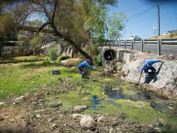 Llaman a cuidar el río El Pueblito en Corregidora