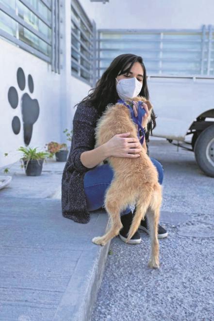 Bruna ya tiene familia. Sus adoptantes vinieron desde Guadalajara, tras conocer el caso en redes sociales 