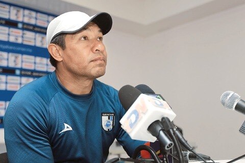 Gallos, fuertes mentalmente