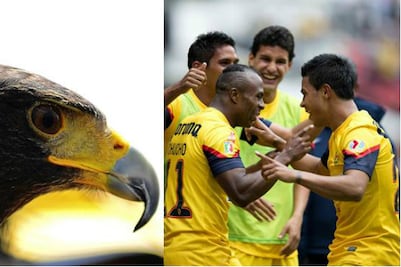 Los 'apodos' del América en sus 96 años