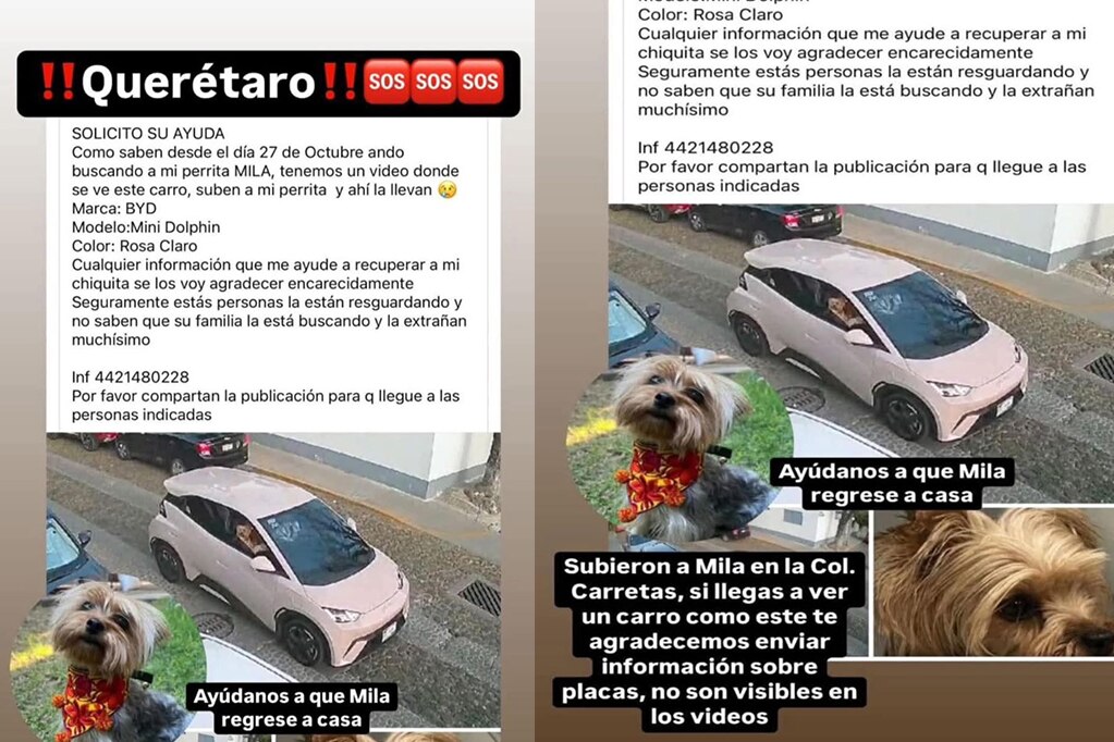 Mila fue captada a bordo de un BYD mini Dolphin rosado. Foto: Captura de pantalla