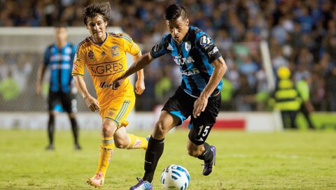 Gallos, a sacar la casta ante León