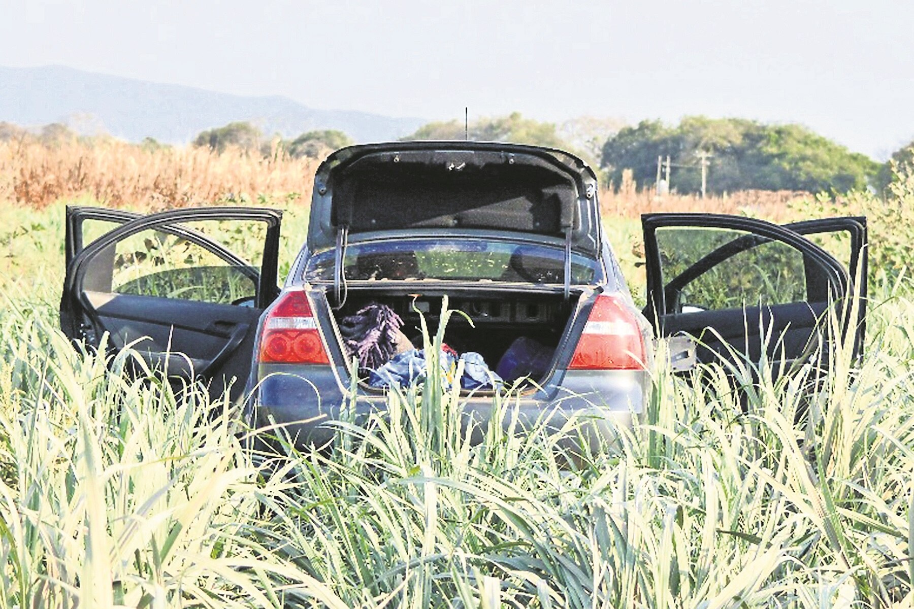 Crímenes no paran; matan a 25 personas en 4 estados