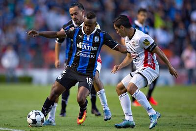 Triunfo revitaliza a Gallos Blancos