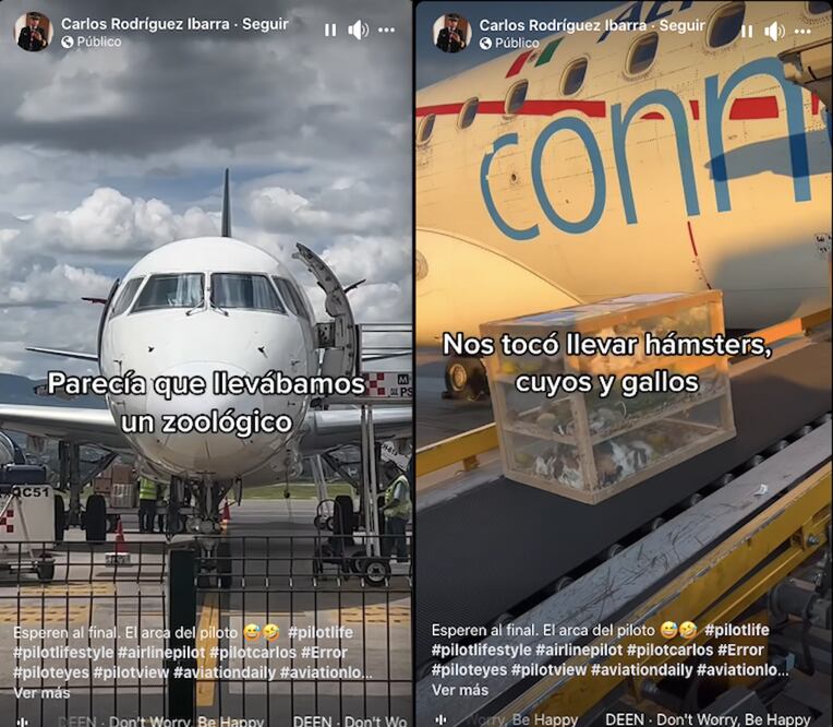 Foto: Captura de pantalla. Carlos Rodríguez Ibarra