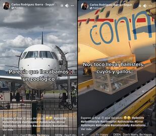 Cuyos, perros y gallos viajaron en avión; despegaron en Guanajuato